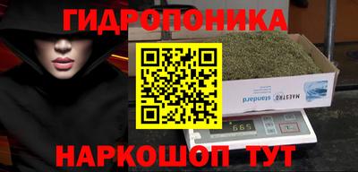 мяу мяу мука Краснознаменск