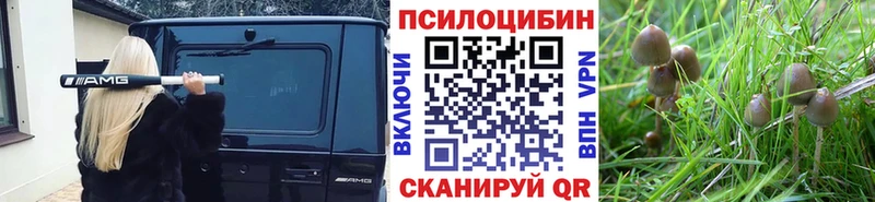 Псилоцибиновые грибы прущие грибы  ОМГ ОМГ онион  Керчь 