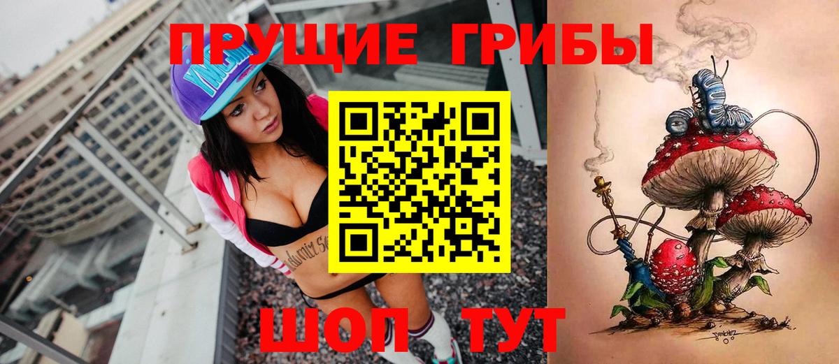 Керчь  Псилоцибиновые грибы Cubensis  Вход с VPN  Псилоцибиновые грибы Psilocybine cubensis 